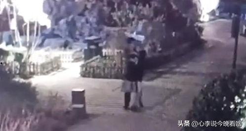 街上免费吃瓜视频,揭秘网络短视频背后的秘密  第2张